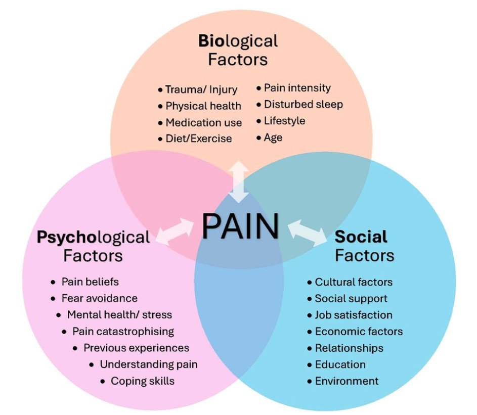 Chronic pain diagram