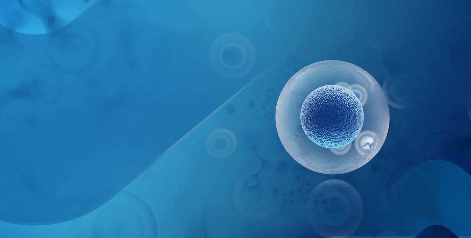 Stem Cell Therapy in India